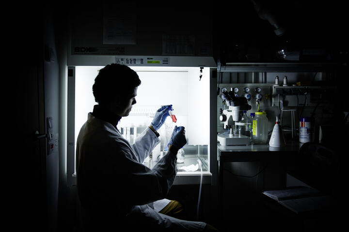 Microscopy Facility