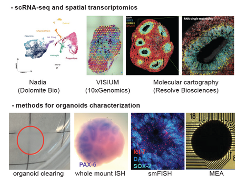 Scientific images