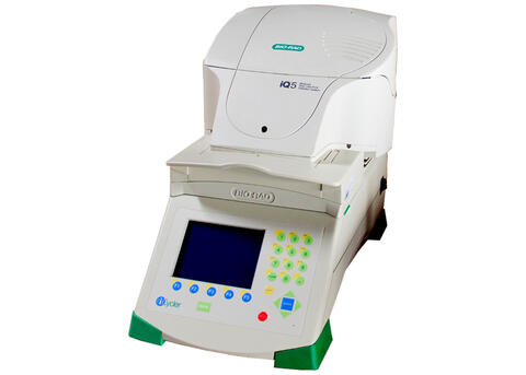 iQ5 RT-PCR BioRad