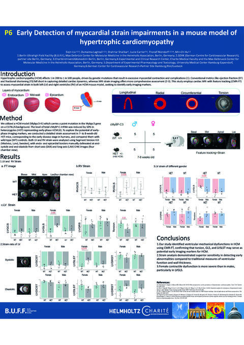 Poster 6 MR2024