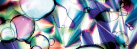 Wissenschaftliches Bild