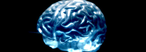 Wissenschaftliches Bild