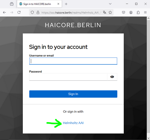 Screenshot of HAICORE login page