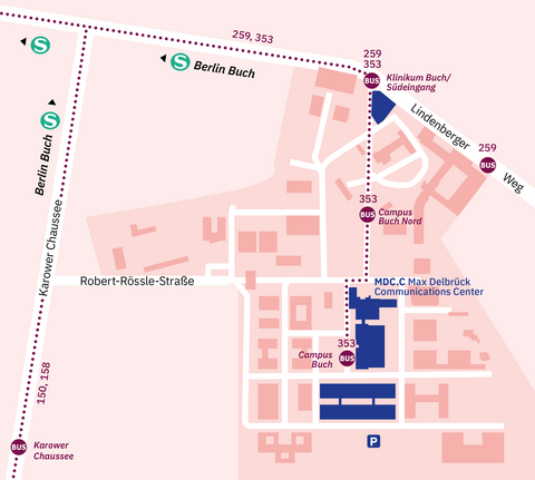 Map showing how to reach the Max Delbr&uuml;ck Communications Center (MDC.C) in Berlin-Buch by public transport. The S-Bahn station Berlin Buch and bus lines 259 and 353 connect to stops &lsquo;Klinikum Buch/S&uuml;deingang&rsquo; and &lsquo;Campus Buch Nord,&rsquo; both within walking distance of the MDC.C building.