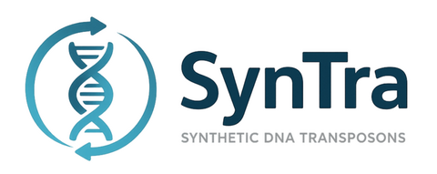 SynTra - Synthetic DNA Transposons