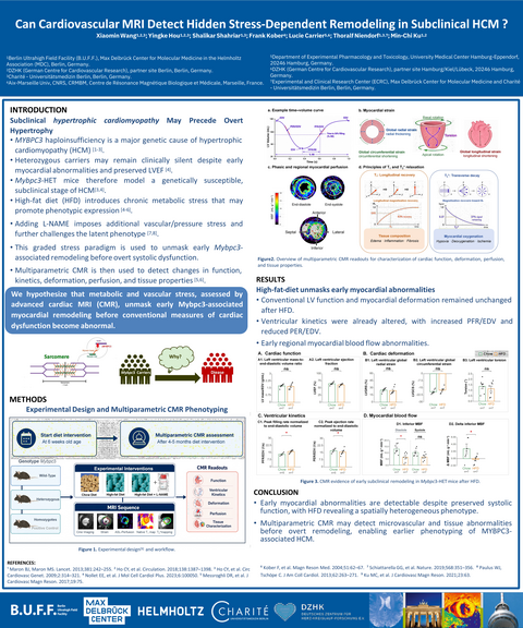Poster 8 - MR2026