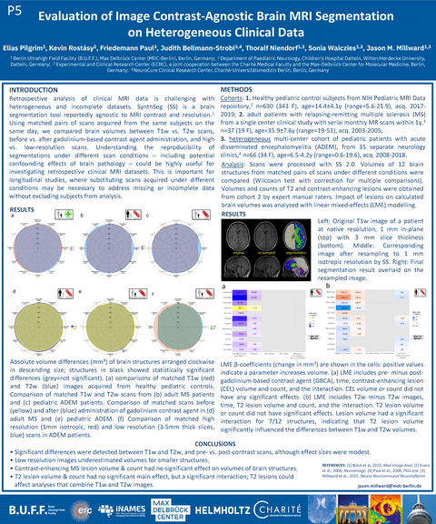 Poster 5 - MR2026