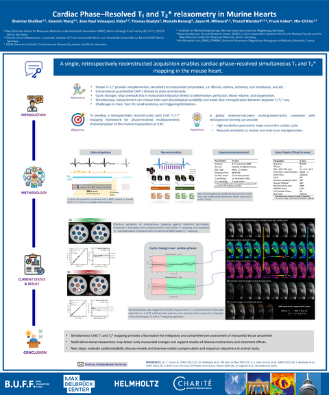 Poster 7 - MR2026