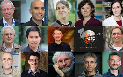 The MDC's ERC Grant recipients by the 10th anniversary