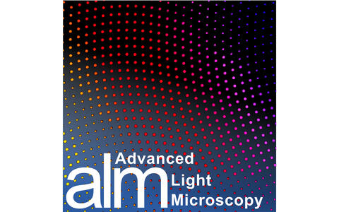 ALM Logo