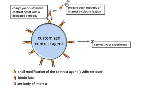 custom_targeted_contrast