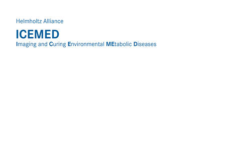 ICEMED_in the upper left part