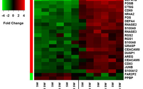 AG Na Fig3 Bone Marrow Niche Memory