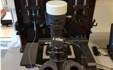 CellBioDropSeq