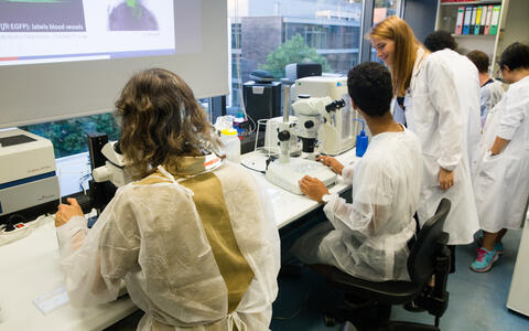In the laboratory: Visitor and colleague Anne Merks (right) at the Long Night of Sciences