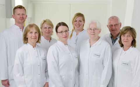 ZKP Team neu