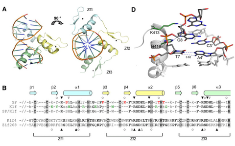 ag heinemann res transcription 2011