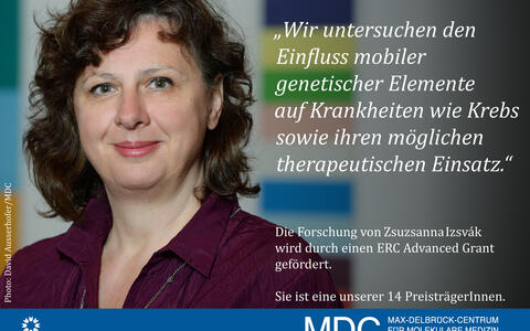 izvak_DE