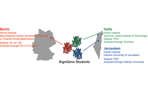 SignGene PhD Program