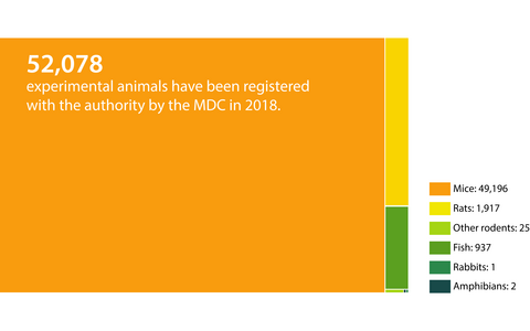Number of animals 2018