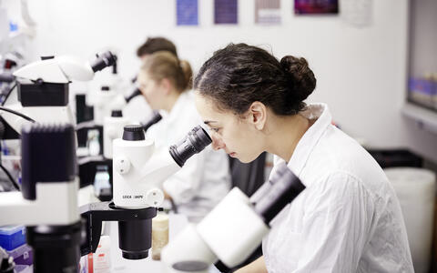 Microscope