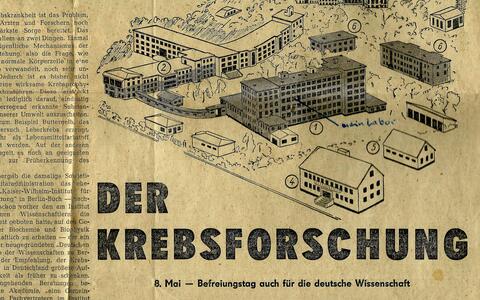 Geißler, Wochenpost Nr. 19, 1955