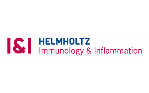 Helmholtz I&I Logo CMYK