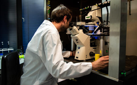 First author Dr. Florian Ullrich, researcher in Prof. Jentsch's team, in the Lab.