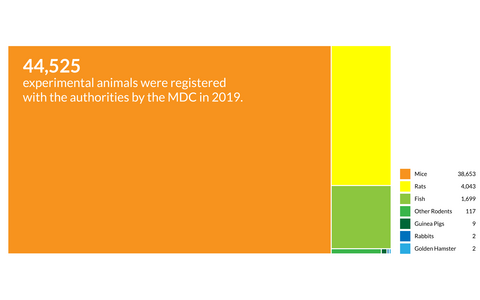 Registered experimental animals