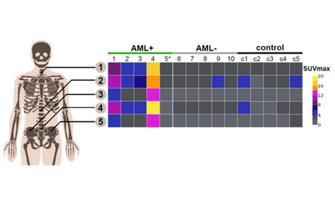 Functional imaging and theranostics