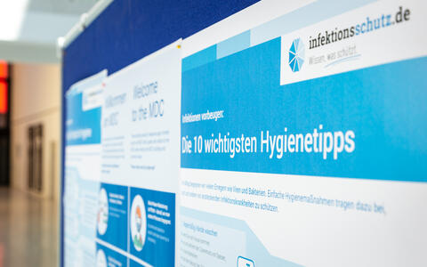 Hygieneregel Poster