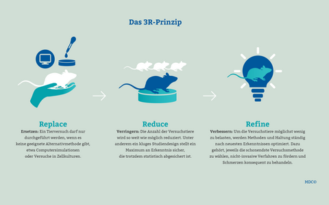 3R-Prinzipien: Ersetzen, verringern, verbessern