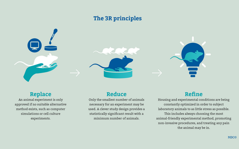 3R principles (replace, reduce, refine)