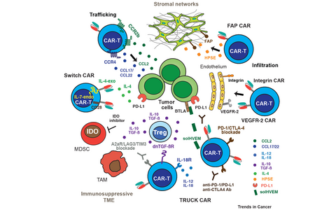 Strategies of next generation CAR-T cells to overcome the hostile tumor microenvironment