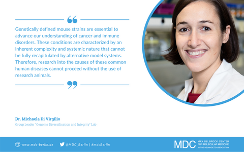 Quotecard Michaela Di Virgilio Quotecard Michaela Di Virgilio
