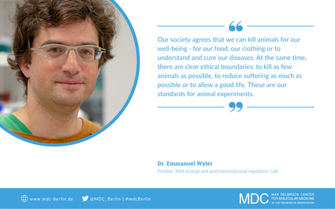 Quotecard Emmanuel Wyler Quotecard Emmanuel Wyler