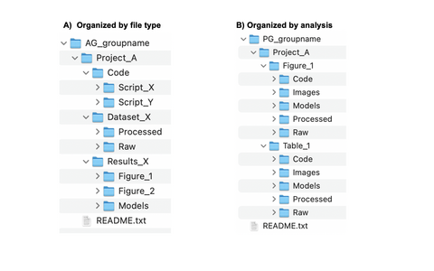 Directory_organization_guidelines