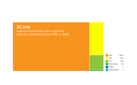 35,166 experimental animals were registered with the authorities by the MDC in 2020.