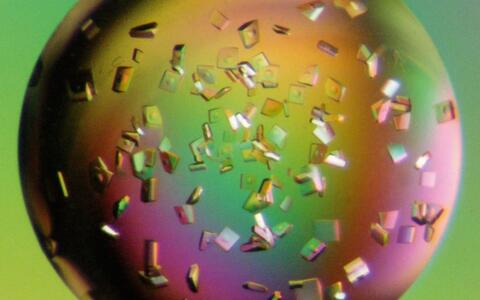 Protein Crystals