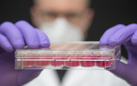 Gotthardt Lab - Tritin 4