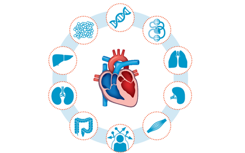 Heart failure chart