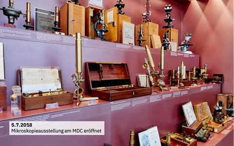Mikroskopieausstellung am MDC eröffnet