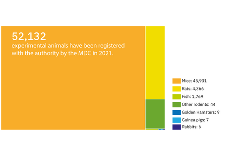 52,132 experimental animals were reported to authorities by MDC in 2021.