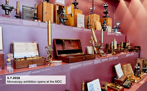 Microscopy exhibition opens at the MDC