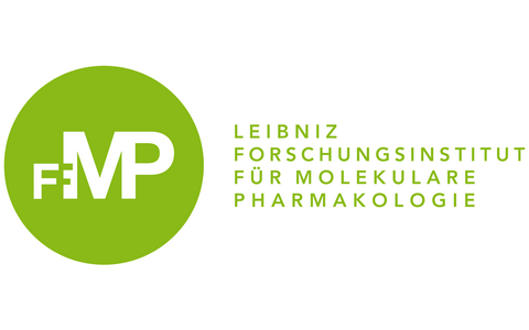 FMP Logo