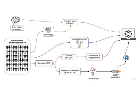 Graphical abstract of the Single-cell and spatial profiling in neuroinflammation team