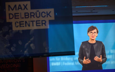 Bettina Stark-Watzinger