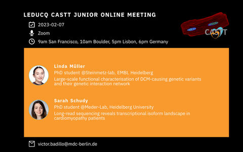 Poster CASTT meeting Feburary 2023