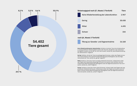 Tierversuche Übersicht Belastungsgrade 2022