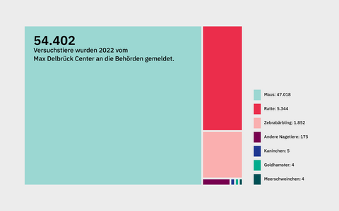 Tierversuche Übersicht Tiere 2022